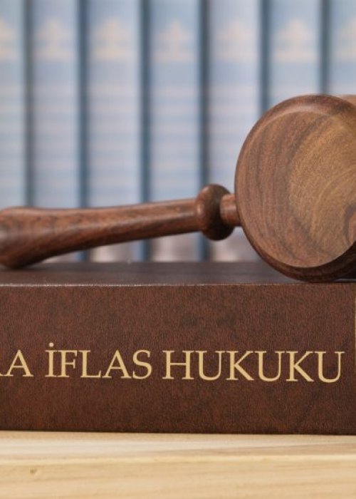 ENFORCEMENT and BANKRUPTCY LAW
